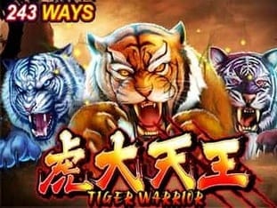 Tiger Warrior screenshot